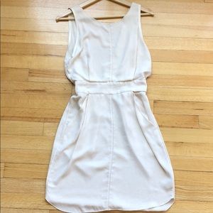 Silk Aritzia Dress